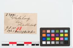 Etiketten zu Beinperle (NHMW-PRAE-023991)